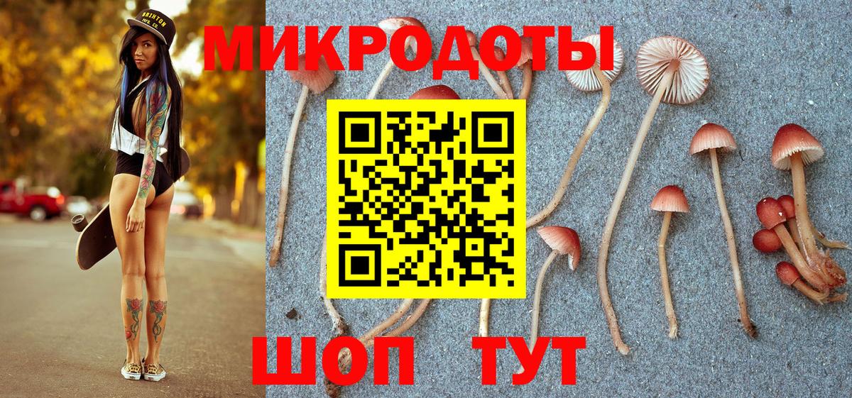 Псилоцибиновые грибы Psilocybine cubensis  где продают   Вход с VPN  Клинцы  Галлюциногенные грибы прущие грибы 