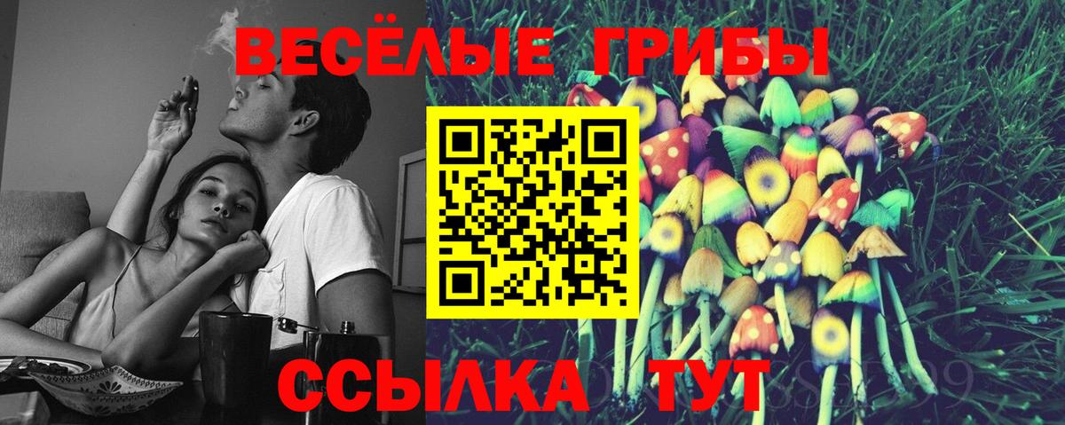 Галлюциногенные грибы MAGIC MUSHROOMS Клинцы